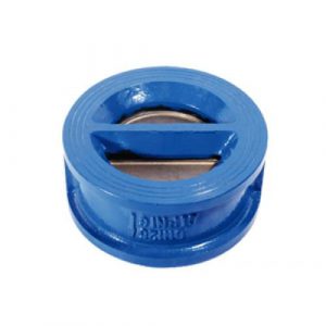 Cast Iron Dual Plate Check Valve