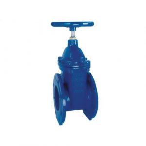 Cast Iron Gate Valve