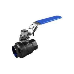 2-pc Cast Steel 316 Ball Valve