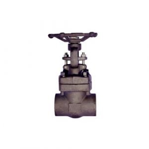Forged Steel Gate Valve A105 Class 800