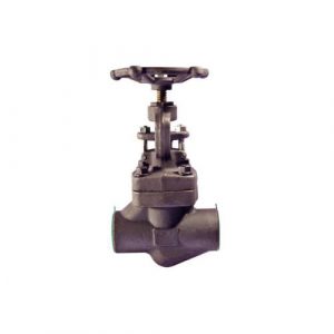Forged Steel Globe Valve Class 800